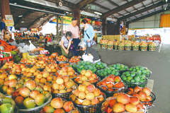玉井青果市場是台南最大的芒果集散地