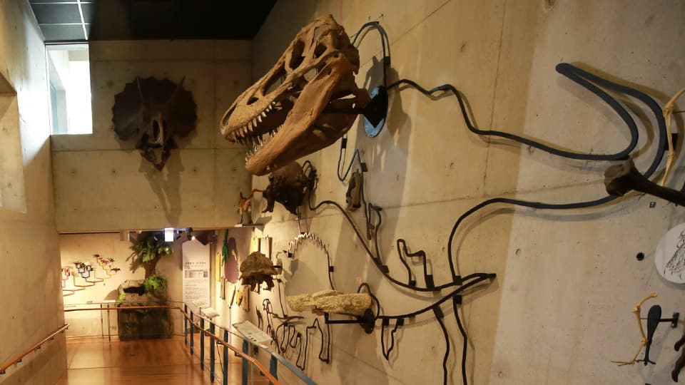 Zuojhen Fossil Park