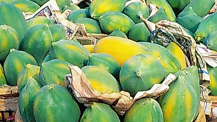 Papayas