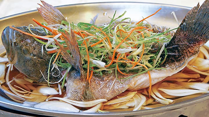 Zengwen Reservoir Fish