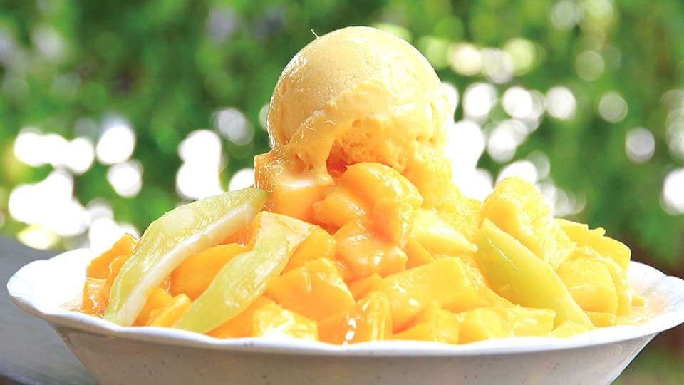 Mango Feast