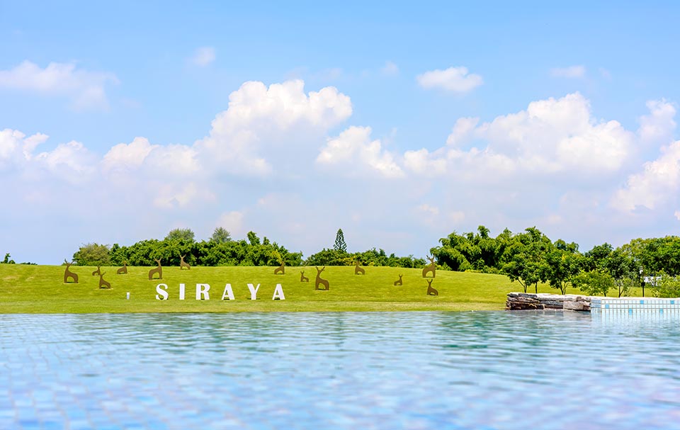 Siraya Items