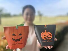 只要開口向南瓜先生打招呼，並追蹤西拉雅管理處的社群，就可獲得在地特產「地瓜酥糖」一包