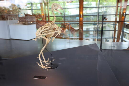 Tainan City Zuojhen Fossil Park