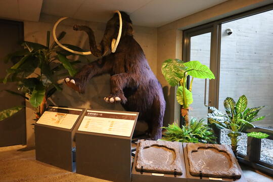 Tainan City Zuojhen Fossil Park