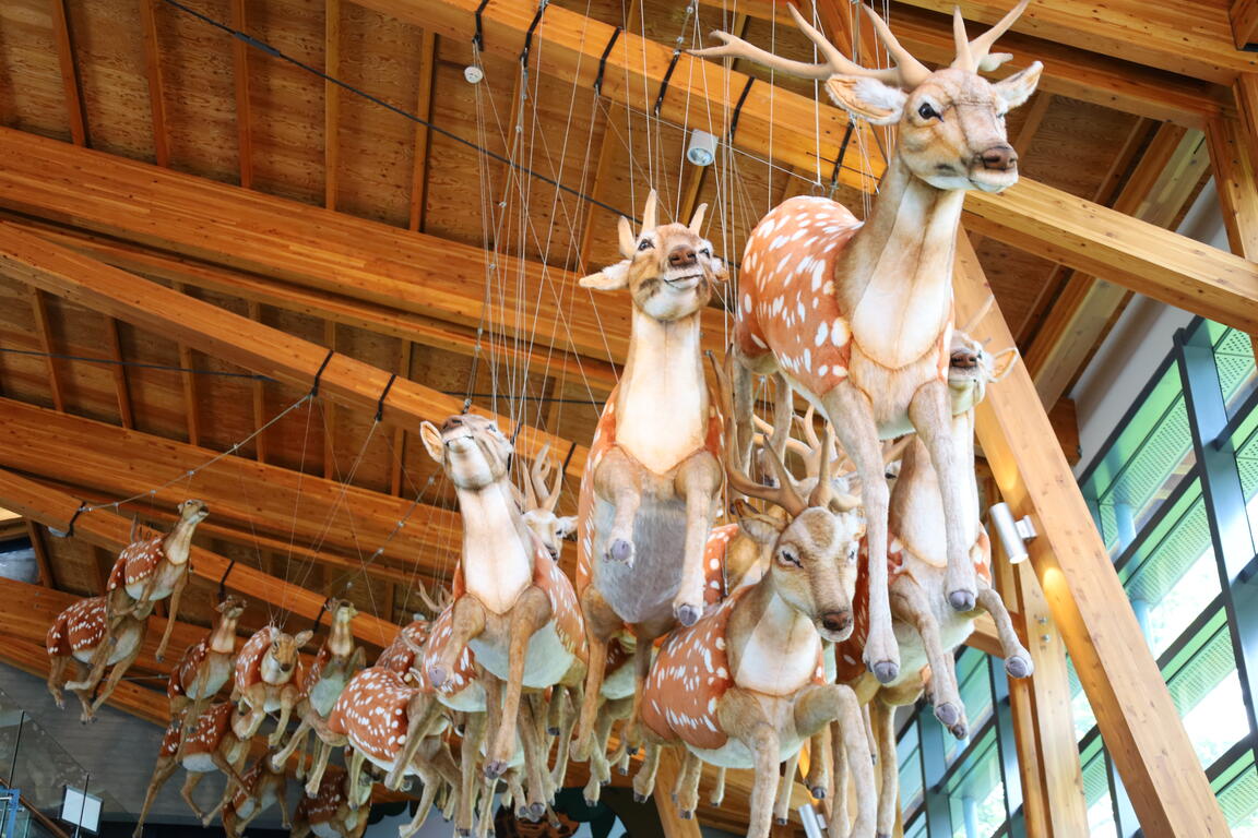 Tainan City Zuojhen Fossil Park