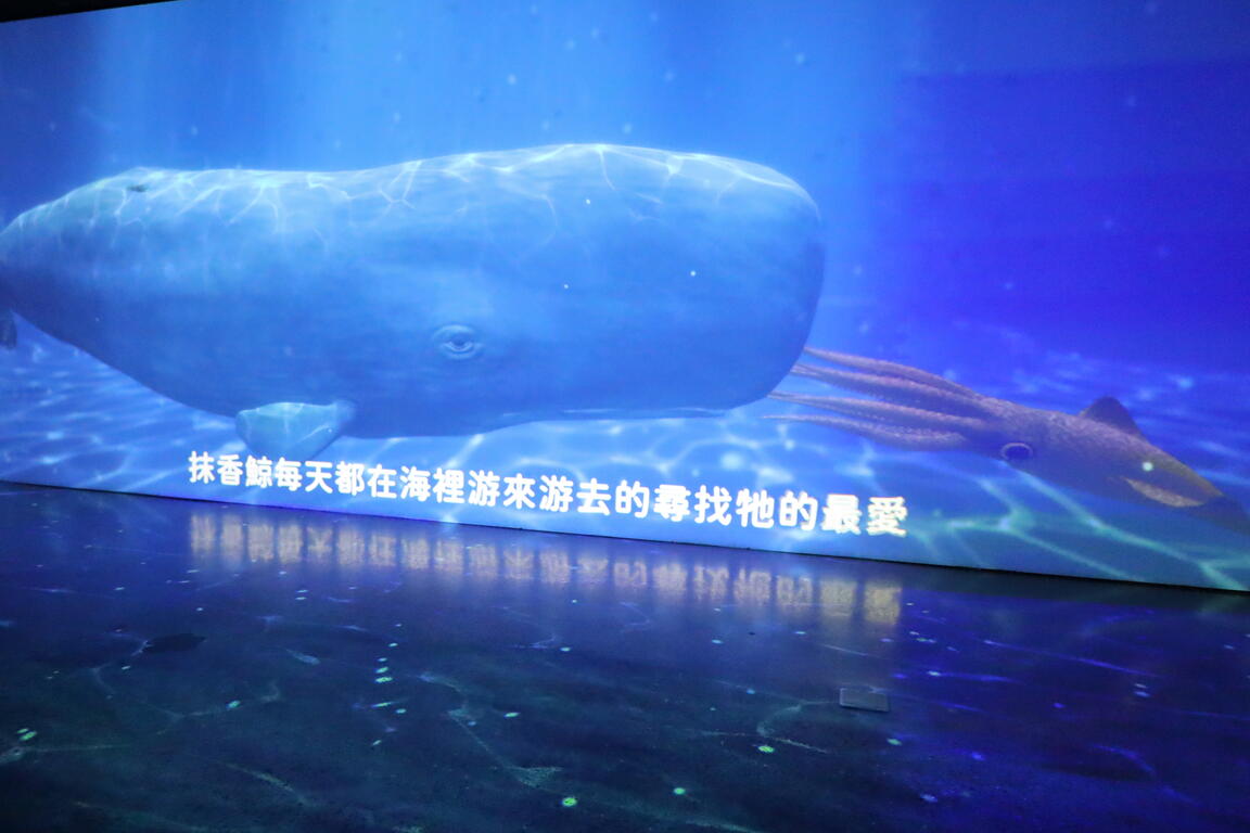 Tainan City Zuojhen Fossil Park