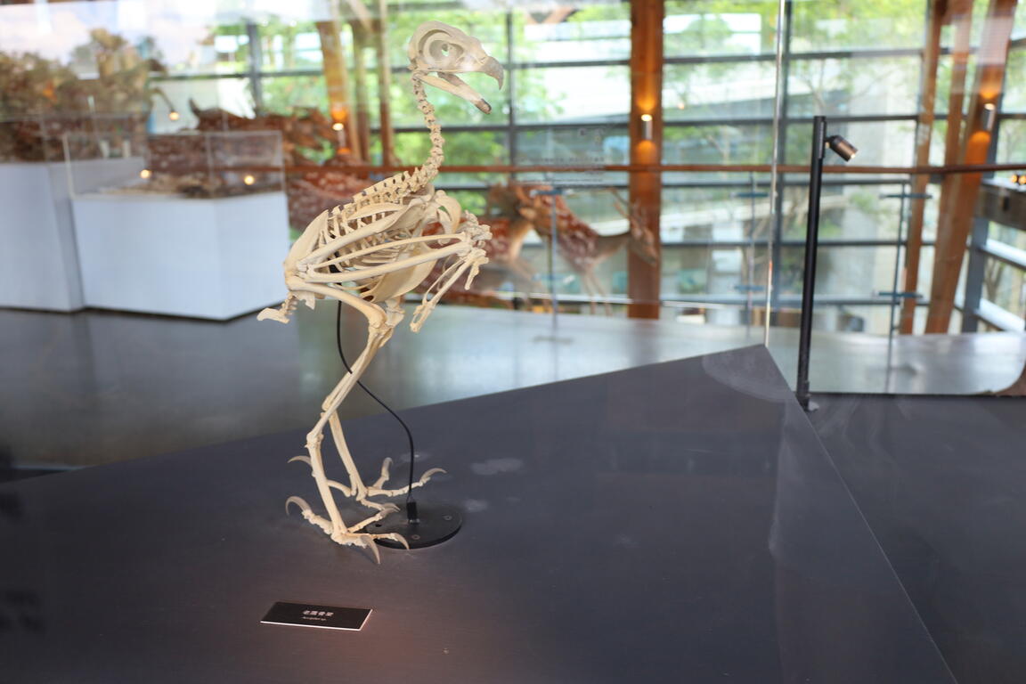 Tainan City Zuojhen Fossil Park