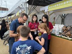 「南波灣 Number WAN」區域觀光圈市集日南臺灣&澎湖  邀請國際客一起同歡