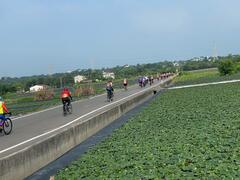 菱波官田線行經菱角田