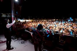 音樂節示意照片