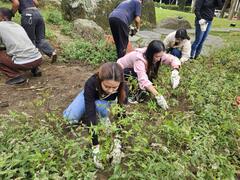 植樹-南華國際生