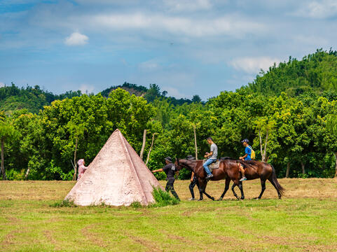 Horse riding experience