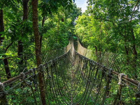 刺激的繩索吊橋