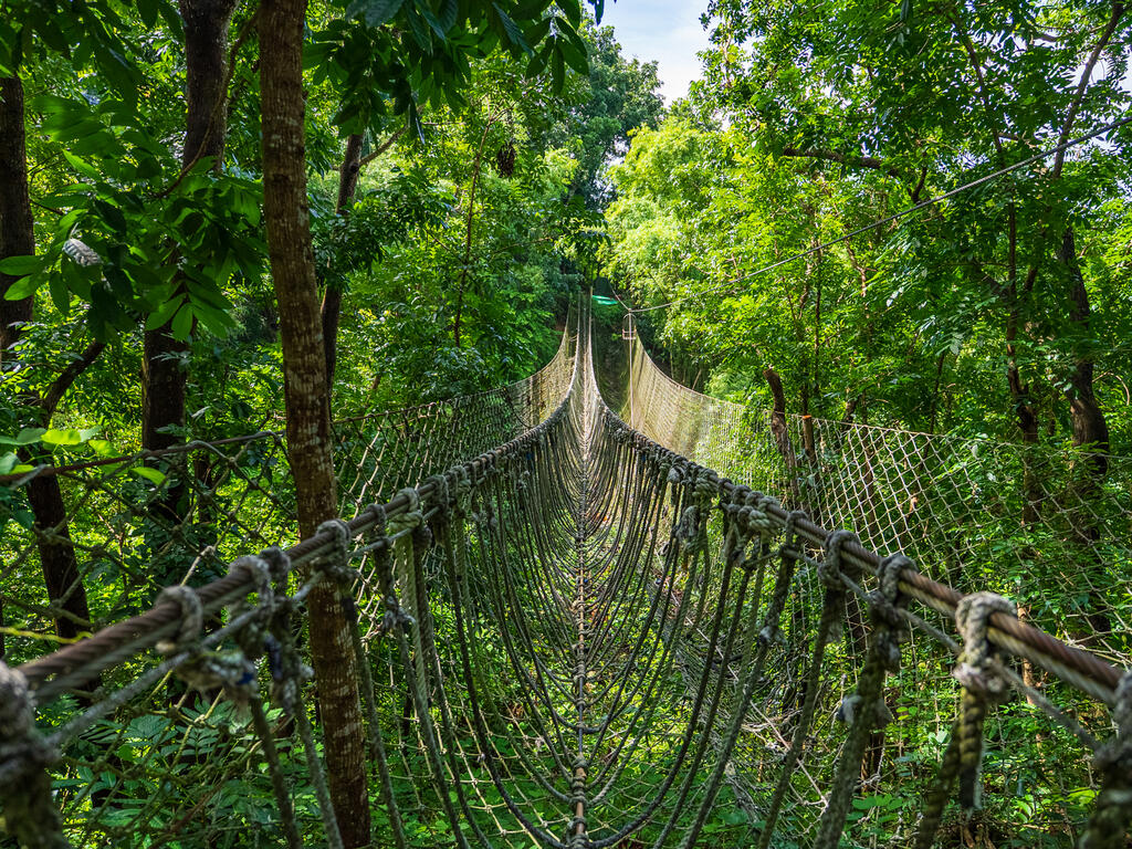 刺激的繩索吊橋