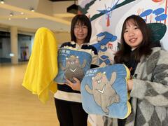 灰熊熊午睡枕毯