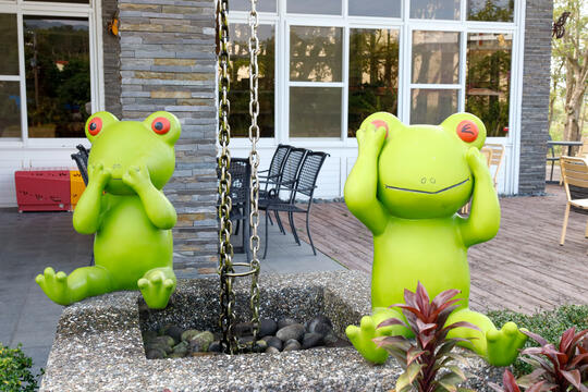 可愛青蛙裝置藝術