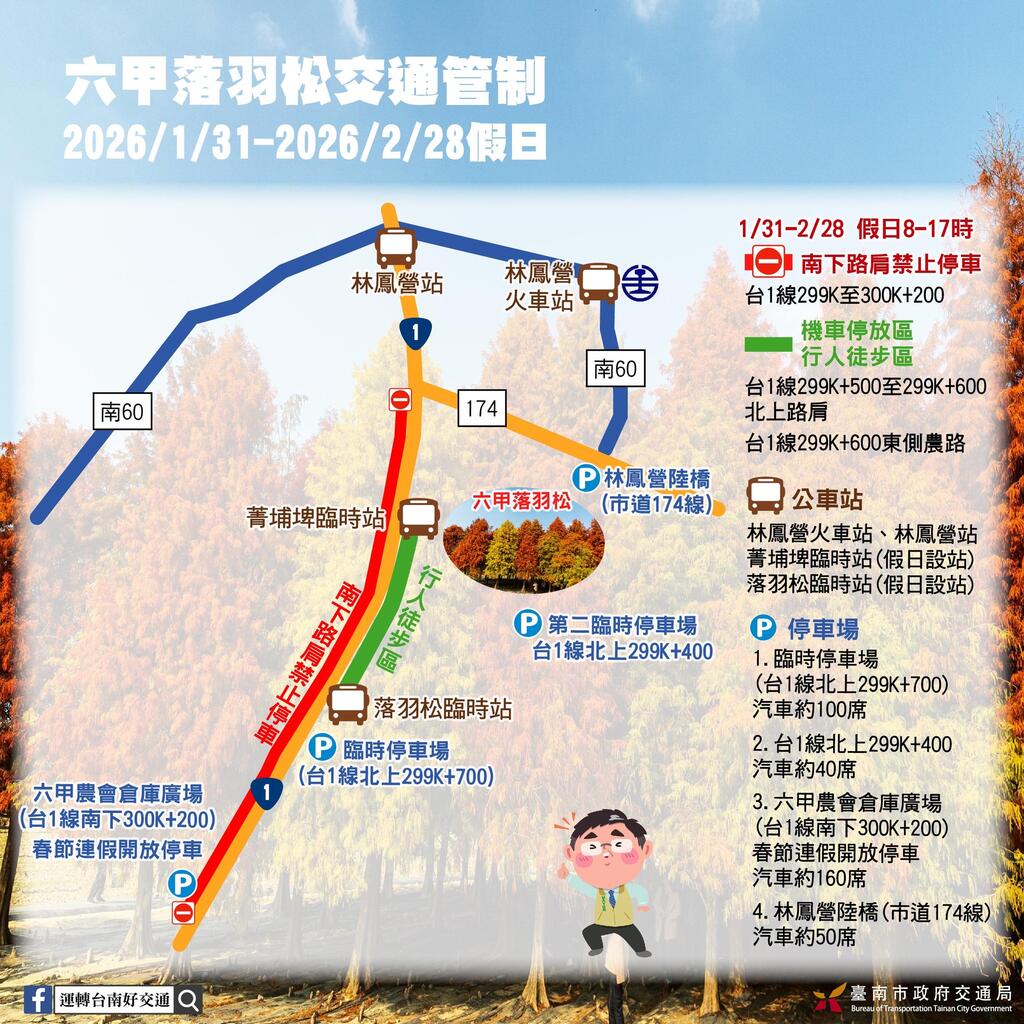 2026六甲落羽松 交通管制