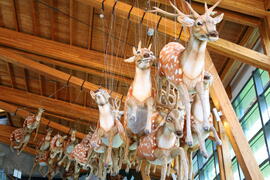 臺南左鎮化石園區