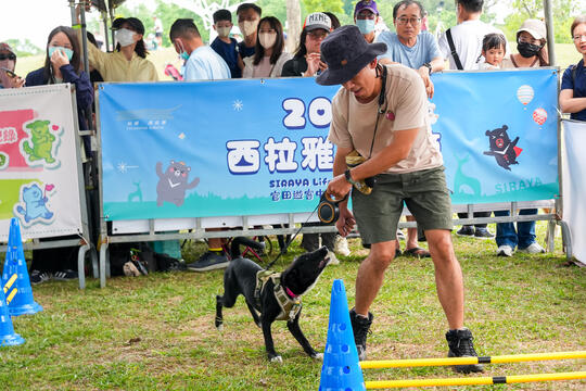 2026毛孩運動會活動花絮
