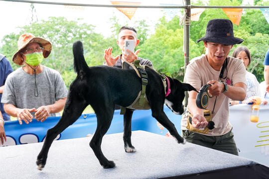 2026毛孩運動會活動花絮