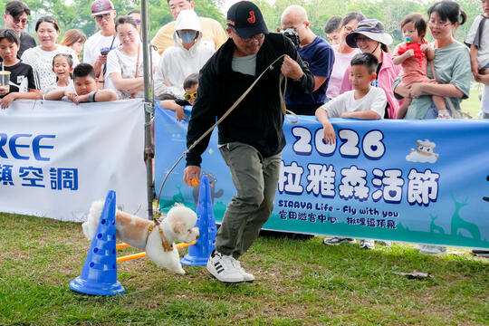 2026毛孩運動會活動花絮