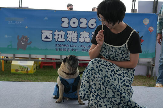 2026毛孩運動會活動花絮