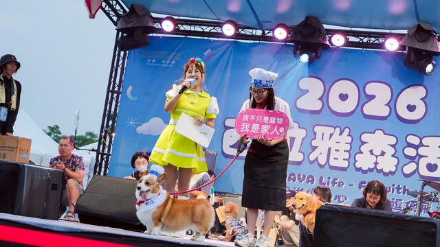 毛孩變裝走秀