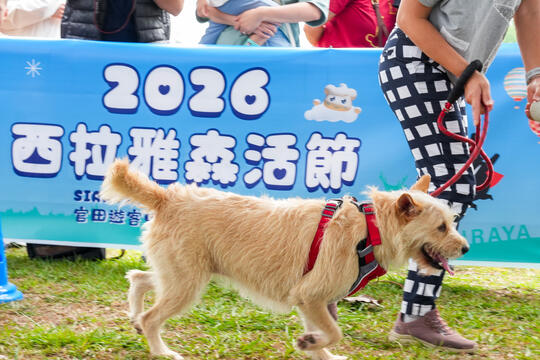 2026毛孩運動會活動花絮
