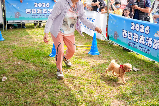 2026毛孩運動會活動花絮