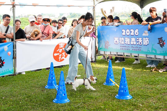 2026毛孩運動會活動花絮