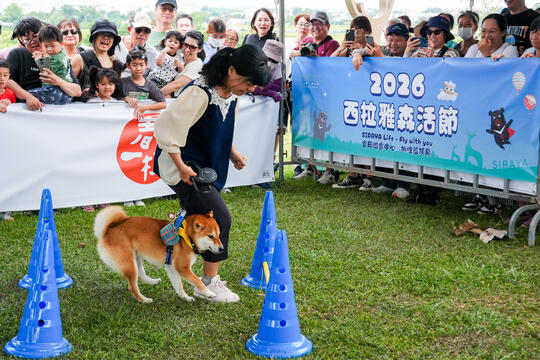 2026毛孩運動會活動花絮