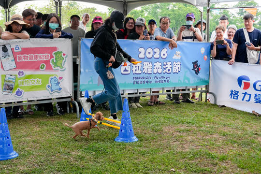 2026毛孩運動會活動花絮