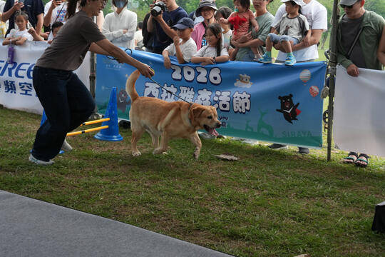 2026毛孩運動會活動花絮