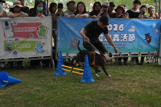 2026毛孩運動會活動花絮
