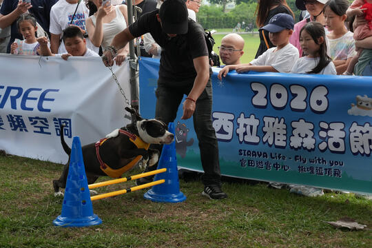 2026毛孩運動會活動花絮