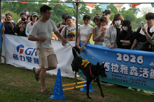 2026毛孩運動會活動花絮