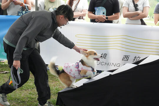 2026毛孩運動會活動花絮