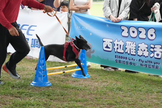 2026毛孩運動會活動花絮