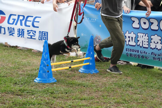 2026毛孩運動會活動花絮