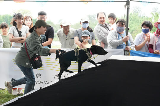 2026毛孩運動會活動花絮