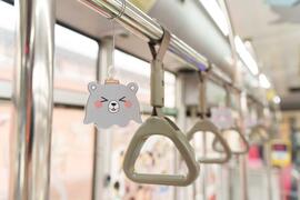 西拉雅灰熊熊專車