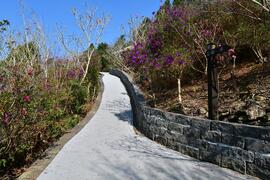 梅峰古道新設塊石及鋪面改善