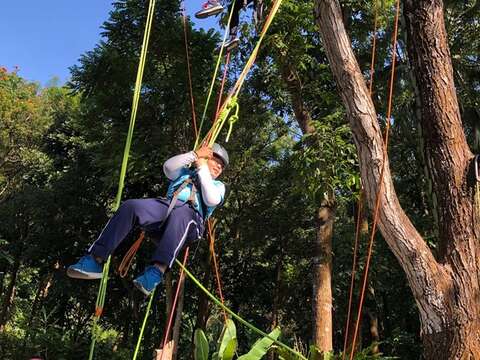 中興大學新化林場 本然教育攀樹課程