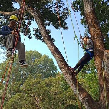 中興大學新化林場 本然教育攀樹課程