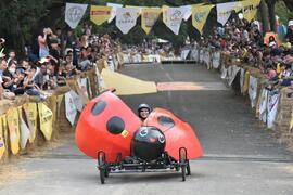 Various styling cars appeared─ladybug