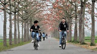 芸能人郭彥均とユーチューバー圖佳は林初埤の木棉花道でのんびりして自転車を乗っていました。