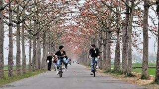 騎自行車徜徉在林初埤木棉花道