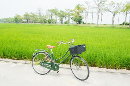 土溝農村美術館