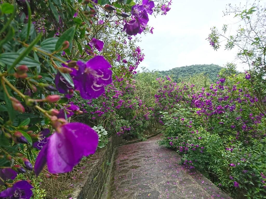 梅峰古道